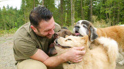 Meet the Underdogs Meet the Underdogs