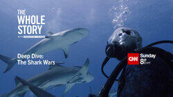 Deep Dive: The Shark Wars Deep Dive: The Shark Wars