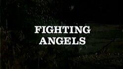 Fighting Angels Fighting Angels