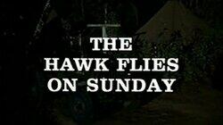 The Hawk Flies on Sunday The Hawk Flies on Sunday