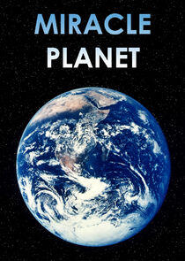 Miracle Planet Miracle Planet