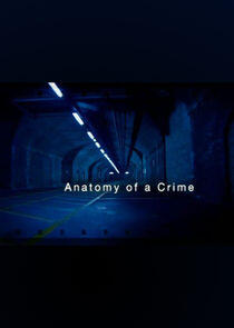 Anatomy of a Crime Anatomy of a Crime