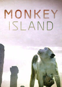 Monkey Island Monkey Island