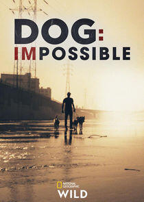 Dog: Impossible Dog: Impossible