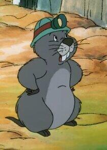 Gopher Gopher