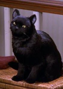 Salem Saberhagen Salem Saberhagen