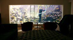 Chicago Cubs Cave, Aquarium House, The Love Boat Chicago Cubs Cave, Aquarium House, The Love Boat