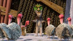 The Jungle Rooster The Jungle Rooster