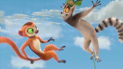 Enter the Fanaloka Enter the Fanaloka