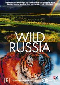 Wild Russia Wild Russia