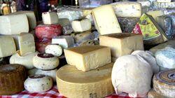 Addicted to Cheese Addicted to Cheese