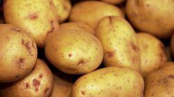 Addicted to Potatoes Addicted to Potatoes