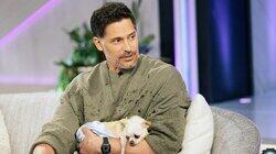 Joe Manganiello, Casey Wilson, Danielle Schneider, Stephanie Izard Joe Manganiello, Casey Wilson, Danielle Schneider, Stephanie Izard