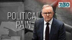 Political Pain Political Pain