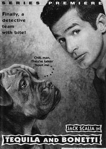 Tequila and Bonetti Tequila and Bonetti