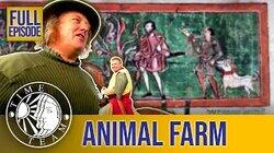 Animal Farm - Hanslope, Milton Keynes Animal Farm - Hanslope, Milton Keynes