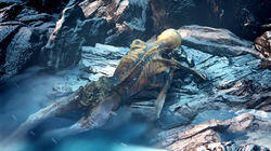 Otzi the Iceman Otzi the Iceman
