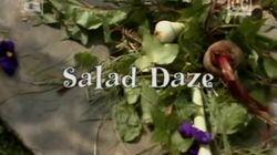 Salad Daze Salad Daze