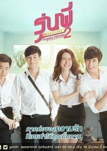 Senior Secret Love: Puppy Honey - Season 2 Senior Secret Love: Puppy Honey - Season 2