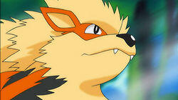 On Cloud Arcanine On Cloud Arcanine