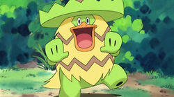 Go Go Ludicolo! Go Go Ludicolo!