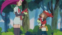 Which Wurmple's Which? Which Wurmple's Which?