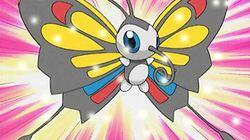 All Things Bright and Beautifly! All Things Bright and Beautifly!