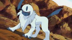 Absol-ute Disaster Absol-ute Disaster