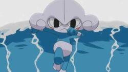 A Meditite Fight! A Meditite Fight!