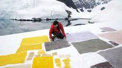 Antarctica Antarctica