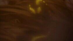 Atrazek the Particle Storm Part Two Atrazek the Particle Storm Part Two