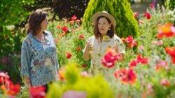 Episode 28 - Spring: Greenhouse Reveal & a Poppy Paradise Episode 28 - Spring: Greenhouse Reveal & a Poppy Paradise