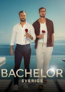 Bachelor Sverige