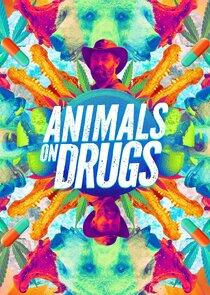Animals on Drugs