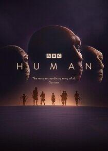 Human Human