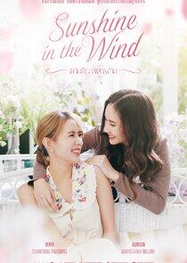 Sunshine in the Wind Sunshine in the Wind