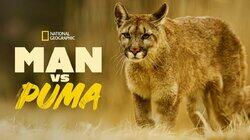 Man vs Puma Man vs Puma