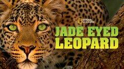 Jade Eyed Leopard Jade Eyed Leopard