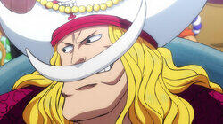 Whitebeard's Little Brother! Oden's Great Adventure! Whitebeard's Little Brother! Oden's Great Adventure!