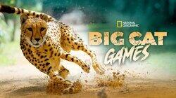 Big Cat Games Big Cat Games
