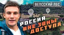 Вепсский лес Вепсский лес