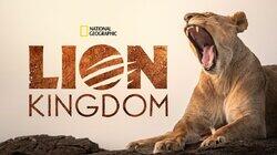Lion Kingdom Lion Kingdom