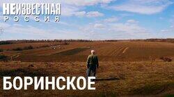 Как производят боринский сахар Как производят боринский сахар