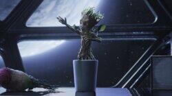 Groot's First Steps Groot's First Steps
