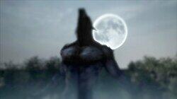 Werewolves Werewolves