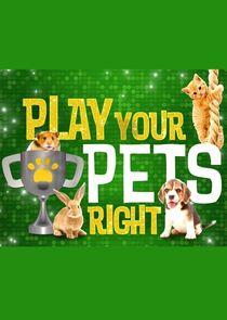 Play Your Pets Right Play Your Pets Right