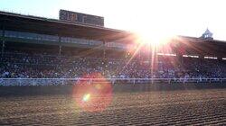 Santa Anita Streak Santa Anita Streak