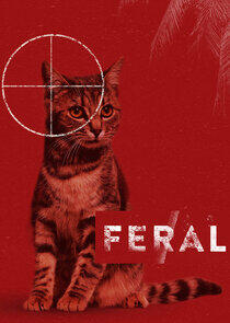 Feral Feral