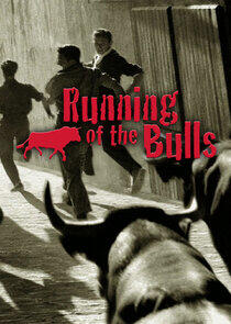 Running of the Bulls Running of the Bulls