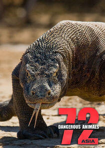 72 Dangerous Animals: Asia 72 Dangerous Animals: Asia